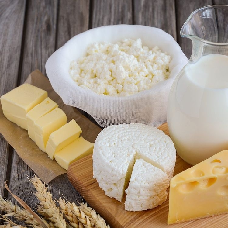 butter, cheese, yogurt (tereyağı, peynir, yoğurt)